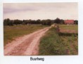 /album/uit-de-oude-doos/buurtweg-x-jpg/